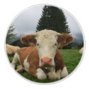 Recherche de vache boutons et poignées de porte Brun