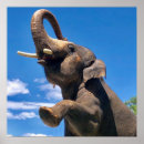 Recherche de éléphant bébé posters Peinture murale