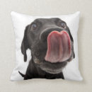 Recherche de labrador coussins Mignon
