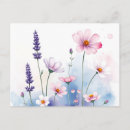 Recherche de fleur de cosmos cartes postales Été