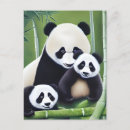 Recherche de petit panda cartes postales Mignonne