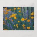 Zoek naar pipe organ briefkaarten Natuur