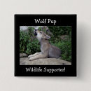 Recherche de loups sauvages badges Loup gris