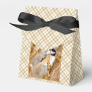 Recherche de poule ballotins Oiseau