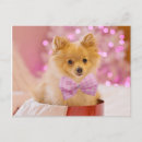 Recherche de chiot de vacances cartes postales Heureux