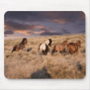 Recherche de mustang sauvage tapis souris Ferme