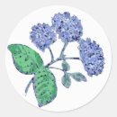 Recherche de hortensia autocollants Fleurs bleues