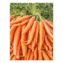 Recherche de agriculteurs posters Végétalien