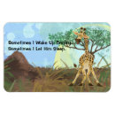 Recherche de longs magnets Animaux