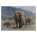 Recherche de éléphant planches à découper Animal