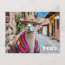 Recherche de pérou cartes postales Llama