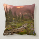 Recherche de image de couleur coussins Fleur