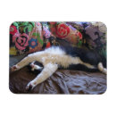 Recherche de mexicain magnets Pour elle