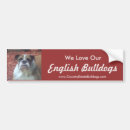 Recherche de bouledogue voiture autocollants Chien