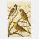 Zoek naar achtergrond keuken handdoeken Vogel