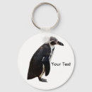 Recherche de humboldt accessoires Mignon