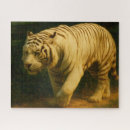 Zoek naar witte tijger puzzels Wild dier