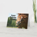 Recherche de joyeux anniversaire cheval cartes postales Idiot