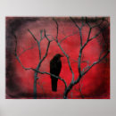 Recherche de corvids posters Corvidés