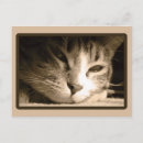 Zoek naar sepia kleur posters Natuur