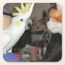 Recherche de furets dessous de verres Mignon