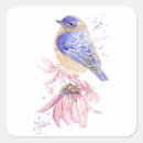 Recherche de bluebird autocollants Nature