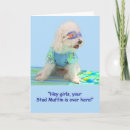 Recherche de bichon vœux cartes D'anniversaire bichon frise