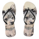 Recherche de yorkshire terrier chaussures Dog