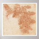 Recherche de deco blackberry posters Plante