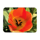 Recherche de intérieurs magnets Fleur