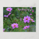 Recherche de rose pourpre cartes postales Fleur