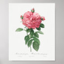 Zoek naar décor floral posters Rozen