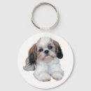 Recherche de shih tzu porteclés Puppy