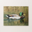 Recherche de ducks puzzles Animal
