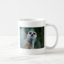Recherche de merkats tasses Drôle