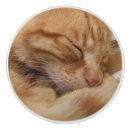 Recherche de chat tigré boutons et poignées de porte Minou