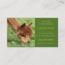 Recherche de alpaga cartes visite Fil