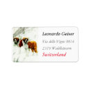 Recherche de st bernard Peinture