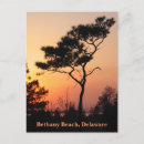 Recherche de avertisseur cartes postales Plage