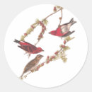 Recherche de finch autocollants Pour tous