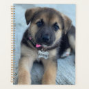 Recherche de berger bureau fournitures Dog