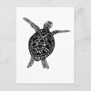 Recherche de tortues cartes postales Mer