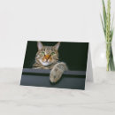 Zoek naar grijze kat kaarten Huisdieren