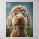 Recherche de grand nez posters Chiot