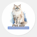 Recherche de félin autocollants Chaton mignon