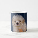 Recherche de chiot drôle tasses Race de chien