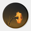 Recherche de oeillets magnets Vert