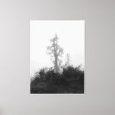 Recherche de arbre noir et blanc posters toiles Brume
