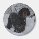 Recherche de setter magnets Toute personne