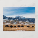 Recherche de montana vœux cartes États unis